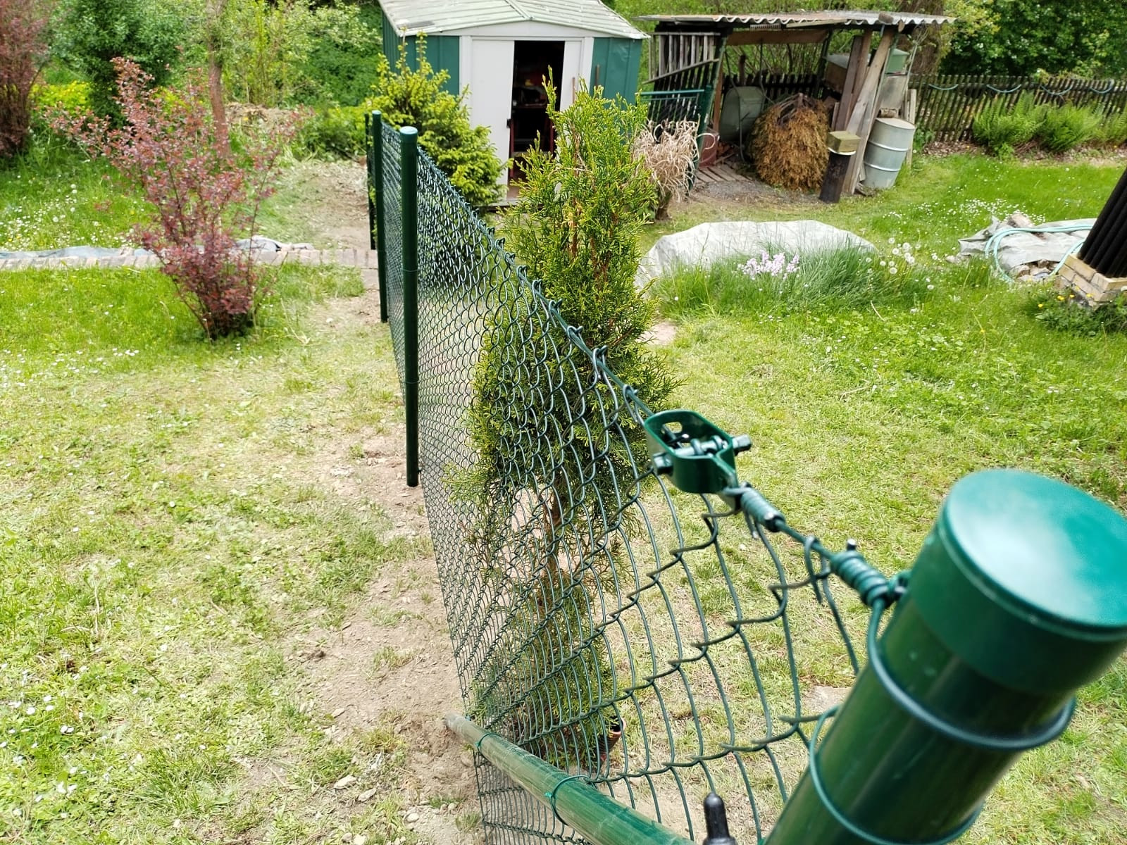 b8233e03-8131-46a6-b829-ff2bd0269827